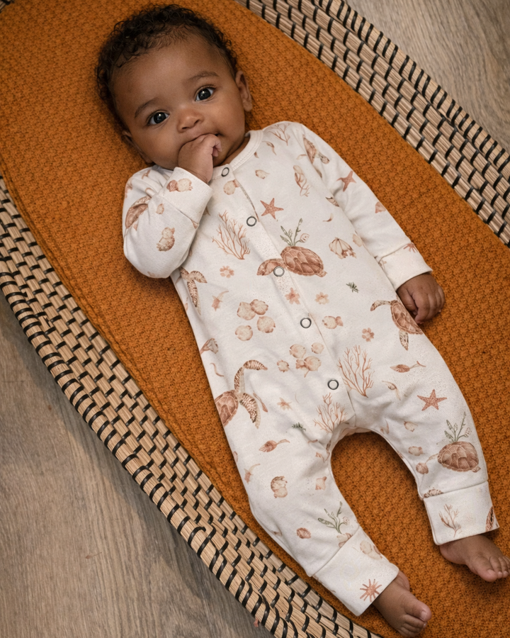 Schilpadden boxpakje