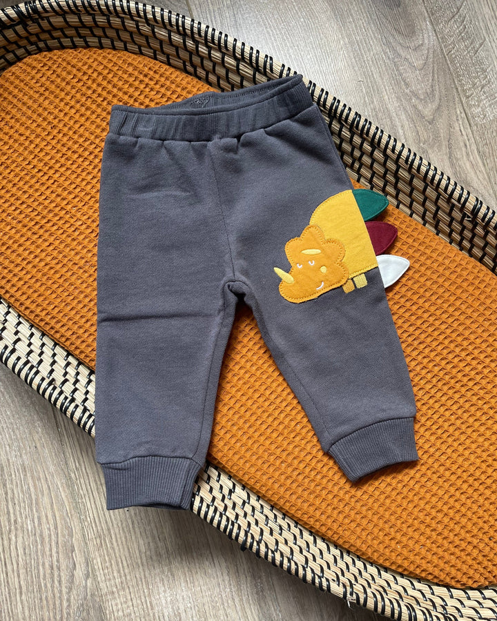 Dinosaurus jongens babybroek met groene, rode en witte stekels.